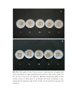 plates - Shodhganga