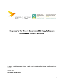 Response to the Ontario Government Strategy to