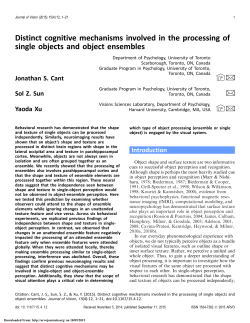 Distinct cognitive mechanisms involved in the processing of single