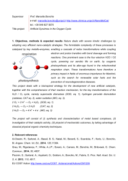 Supervisor Prof. Marcella Bonchio e