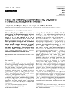 Flavanone 3&beta;-Hydroxylases from Rice: Key Enzymes for Favonol