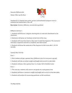 osmosis-and-diffusion