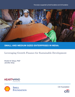 Leveraging Growth Finance for Sustainable Development