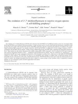 The oxidation of 2V,7V-dichlorofluorescin to reactive oxygen species