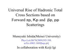 陽子は小さな運動量比