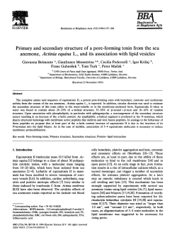 Primary and secondary structure of a pore