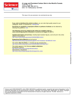 A Large and Persistent Carbon Sink in the World`s Forests