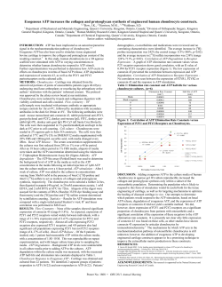 Exogenous ATP increases the collagen and proteoglycan synthesis
