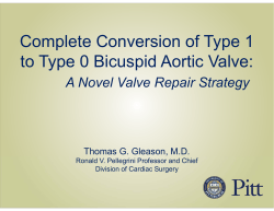 Complete Conversion of Type 1 to Type 0 Bicuspid Aortic Valve: