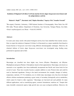 Isolation of Stigmast-5,24-dien-3