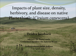 IMPACTS OF INSECT HERBIVORES AND PLANT PATHOGENS ON