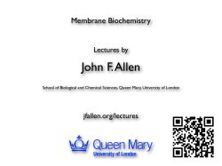 ATP Synthase - Coupling ATPase