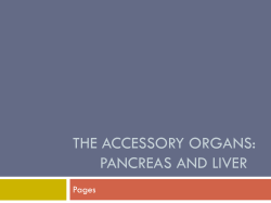 The Accessory organs: Pancreas and liver