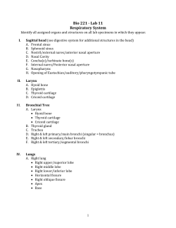 Lab - Orange Coast College