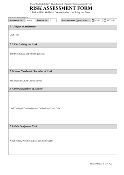 Blank Risk Assessment Form