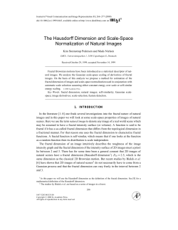 The Hausdorff Dimension and Scale-Space Normalization of Natural