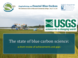 The state of blue carbon science: a short review of achievements