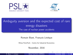 Ambiguity aversion and the expected cost of rare energy disasters