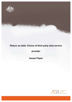 AER Issues paper - Return on debt choice of data service provider