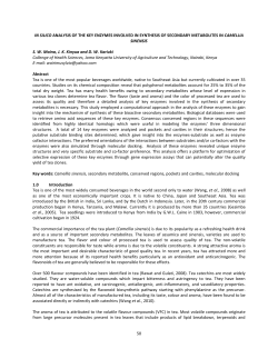 50 IN SILICO ANALYSIS OF THE KEY ENZYMES INVOLVED IN