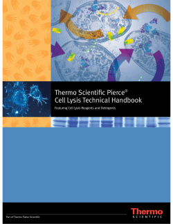 Thermo Scientific Pierce&reg; Cell Lysis Technical