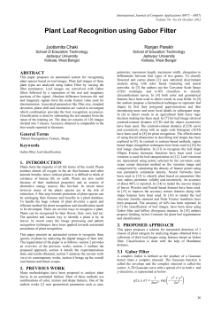 Plant Leaf Recognition using Gabor Filter