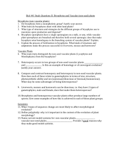Biol 441 Study Questions II: Bryophytes and Vascular (non