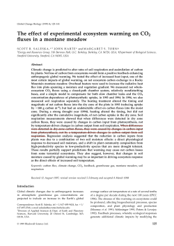 The effect of experimental ecosystem warming on CO2 fluxes in a