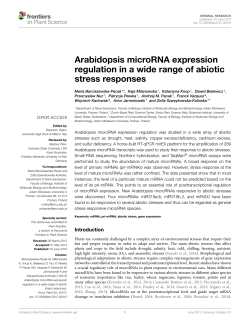 Arabidopsis microRNA expression regulation in a wide