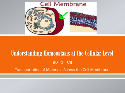 embedded in the cell membrane