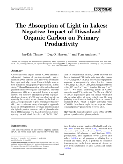 The Absorption of Light in Lakes: Negative Impact of Dissolved