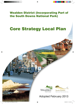 Core Strategy Local Plan - Wealden District Council