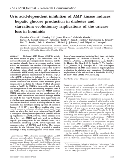Uric acid-dependent inhibition of AMP kinase