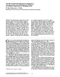 Are the Conserved Sequences in Segment 1 of Gelsolin Important