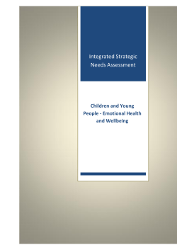 Children and Young People`s Emotional Health and Wellbeing (Full)