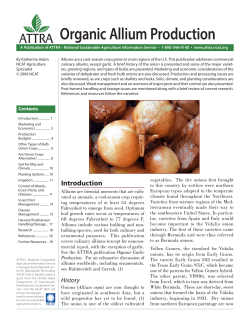 Organic Allium Production ~ PDF