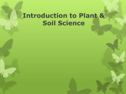 Discuss the importance of plant science.