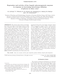 Expression and activity of key hepatic gluconeogenesis enzymes in