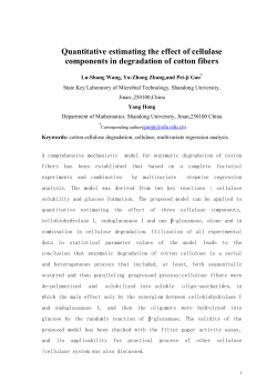 Structural changes of microfibrils in cotton fibers is the main