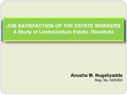 A Survey on Indentifying Job Satisfaction Factors of Plantation