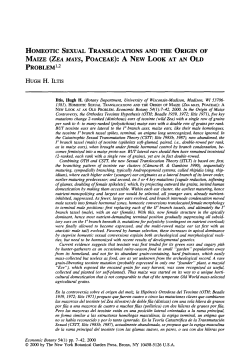Homeotic Sexual Translocations and the Origin of Maize (Zea Mays