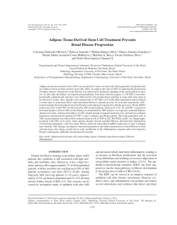 Adipose Tissue-Derived Stem Cell Treatment Prevents Renal