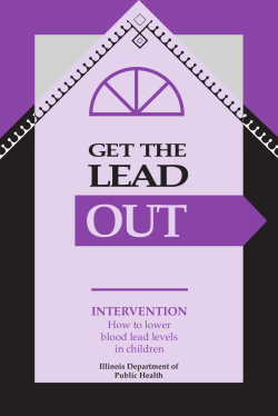 How to Lower Blood Lead Levels