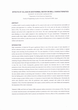 EFFEcTS oF co2 GAs IN GEoTHERMAL WATER ON WELL