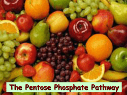 13.8 The Pentose Phosphate Pathway
