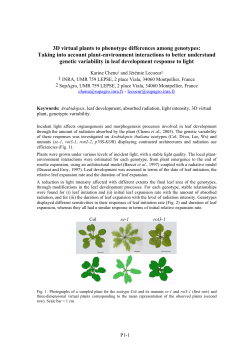 3D virtual plants to phenotype differences among genotypes: Taking