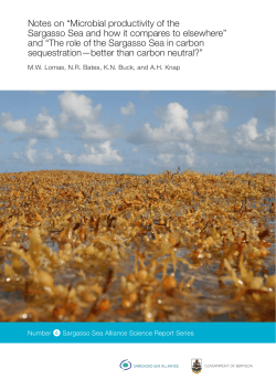 hi res - Sargasso Sea Commission