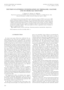 neutron scattering investigation on trehalose, maltose and sucrose