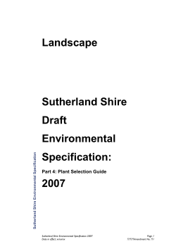 2007_08_06_FINAL_Landscaping_Sp_19