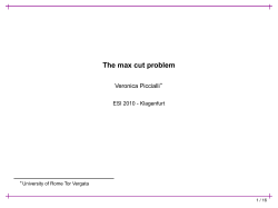 The max cut problem